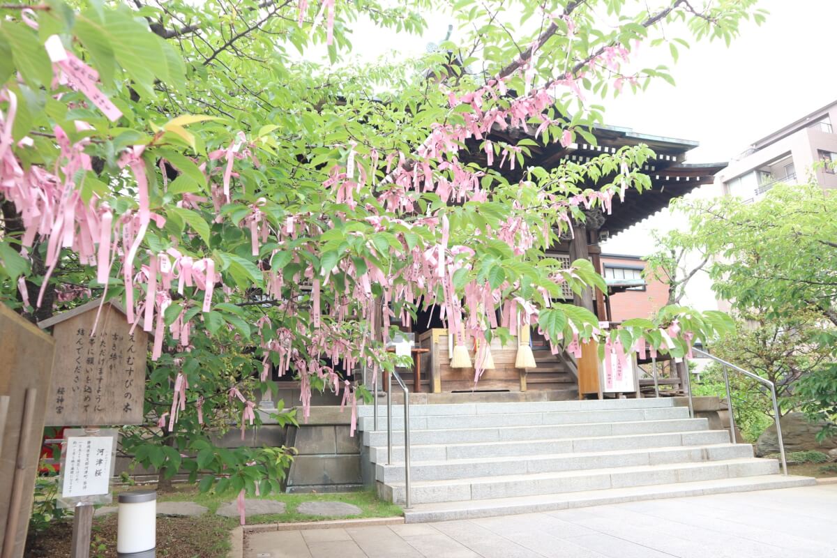 桜新町駅で女性の一人暮らし 住みやすさ 街情報 3 こんな人におすすめ カーサミア