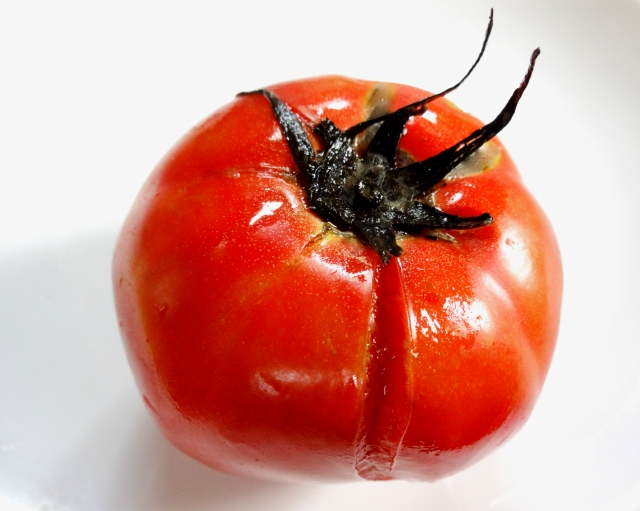 傷ん だ トマト