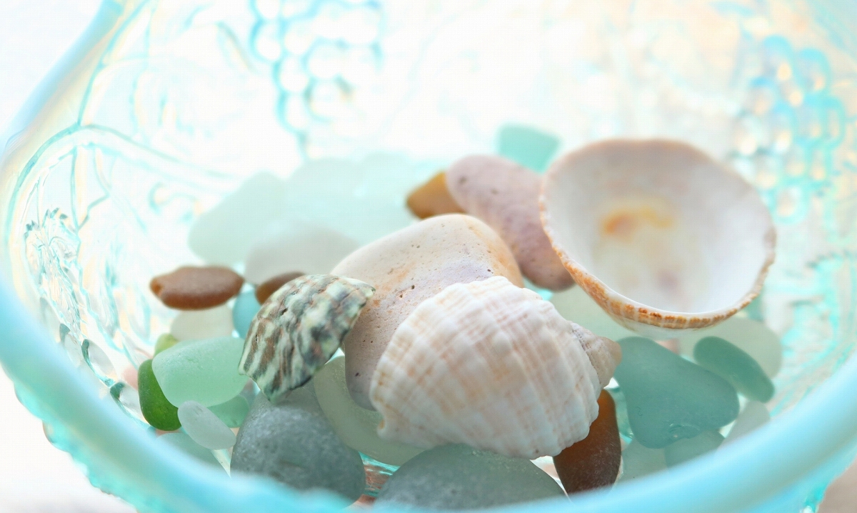 100均で作る、涼しげ貝殻インテリア。真似したくなるアイデアを紹介
