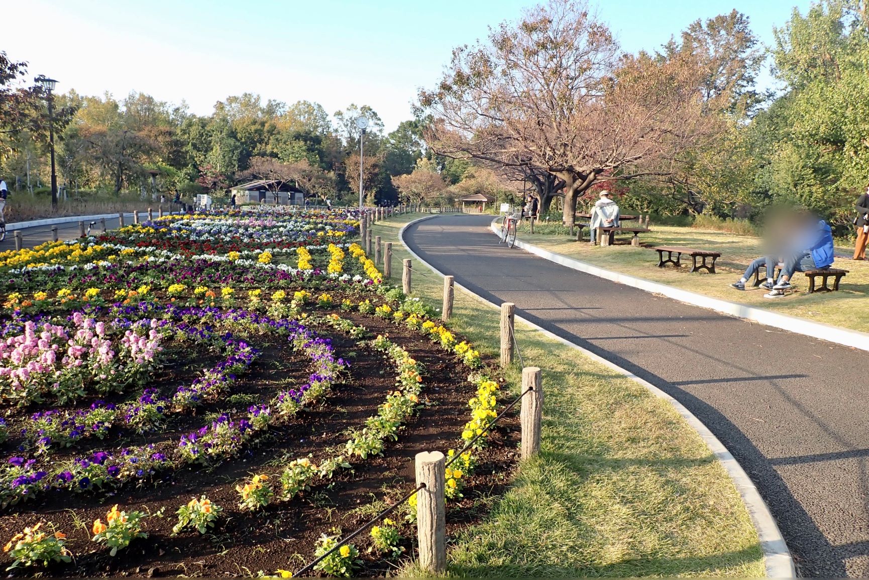 千歳烏山で女性の一人暮らし情報 住みやすさ 街情報 こんな人におすすめ カーサミア